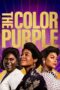 Nonton Film The Color Purple (2023) Terbaru Nonton Film The Color Purple (2023) Terbaru