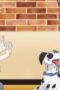 Nonton Film Dog Signal Season 1 Episode 8 Terbaru