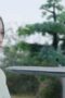 Nonton Film Snow Eagle Lord Season 1 Episode 29 Terbaru