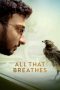 Nonton Film All That Breathes (2022) Terbaru Nonton Film All That Breathes (2022) Terbaru