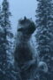 Nonton Film The Dinosaurs Season 1 Episode 3 Terbaru Nonton Film The Dinosaurs Season 1 Episode 3 Terbaru