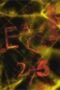 Nonton Film Bleach Season 1 Episode 275 Terbaru Nonton Film Bleach Season 1 Episode 275 Terbaru