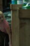 Nonton Film Lucky Season 1 Episode 2 Terbaru Nonton Film Lucky Season 1 Episode 2 Terbaru